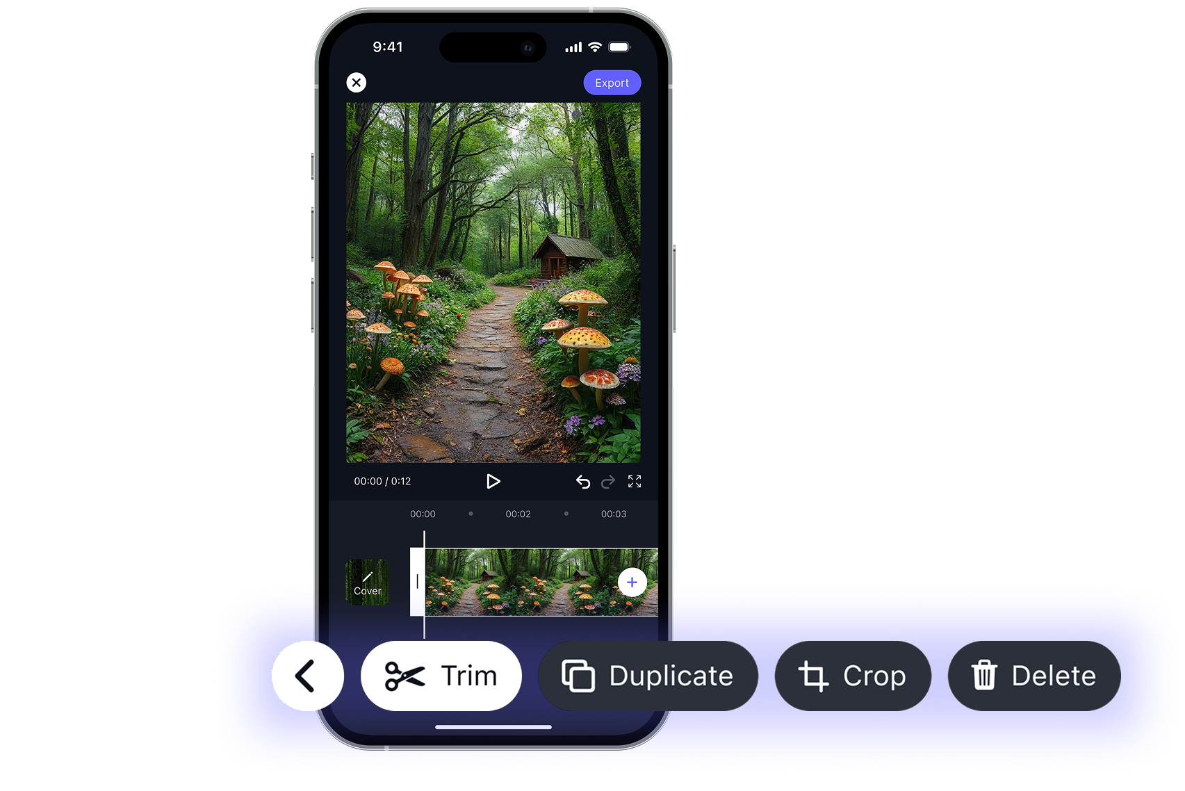 Video Studio Interface
